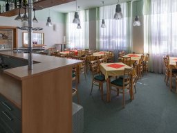 alesova_1723_11_20201006_1081971277
