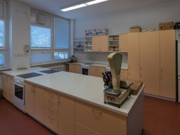 alesova_1723_12_20201006_1446401014