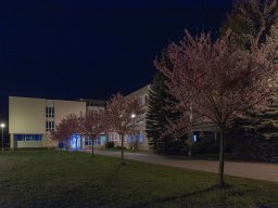 alesova_1723_3_20201006_1237490218