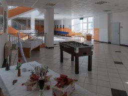 alesova_1723_4_20201006_1506772071