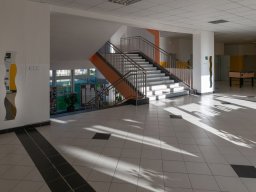 alesova_1723_5_20201006_1016577569